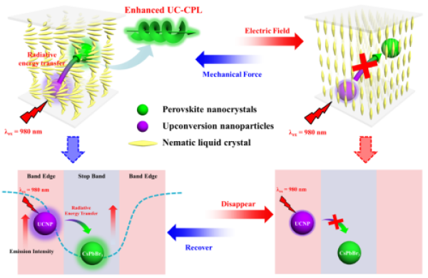 W020200709375894984958.png